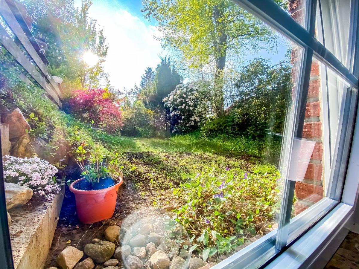 Ferienwohnung Im Sachsenwald Dassendorf Екстер'єр фото